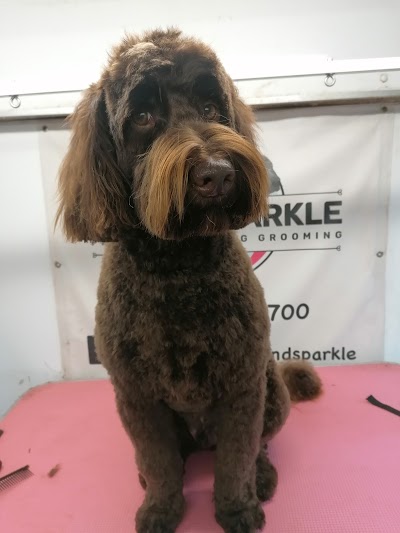 Grooming Van Image