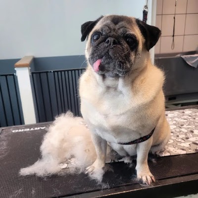 Barklands Dog Grooming