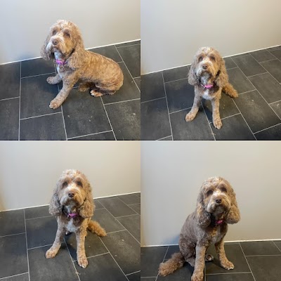 Grooming Van Image