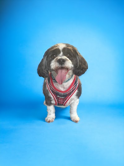 Grooming Van Image