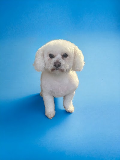 Grooming Van Image