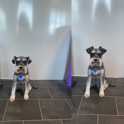 Grooming Van Image