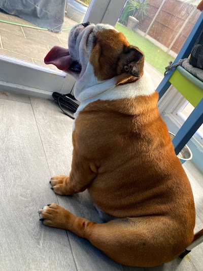 Grooming Van Image