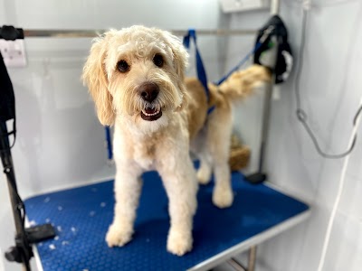 Grooming Van Image