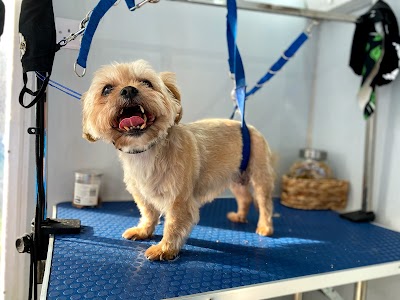 Bath Barks and Beyond - Dog Grooming