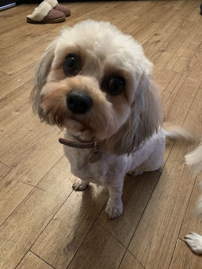 Grooming Van Image