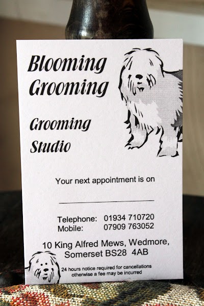 Grooming Van Image