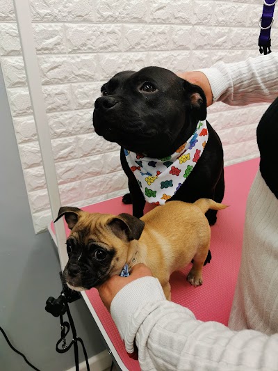 Grooming Van Image