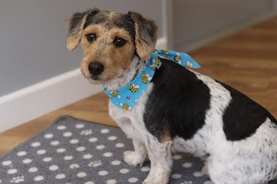 Grooming Van Image