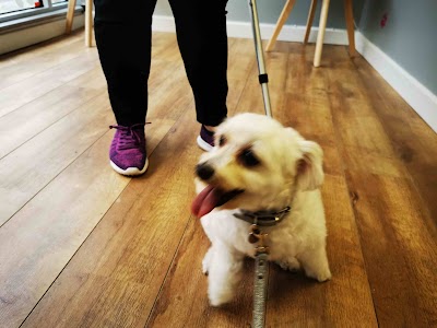 Grooming Van Image
