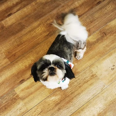 Grooming Van Image