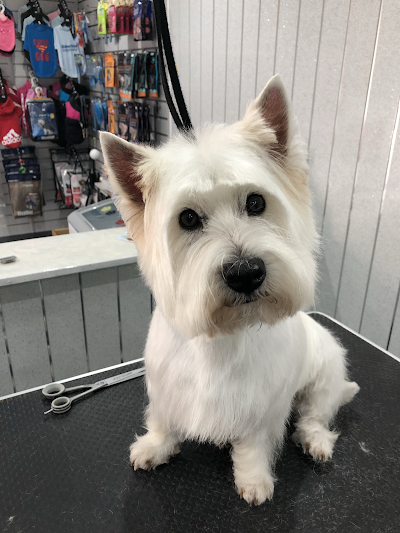 Grooming Van Image