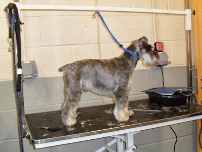 Grooming Van Image