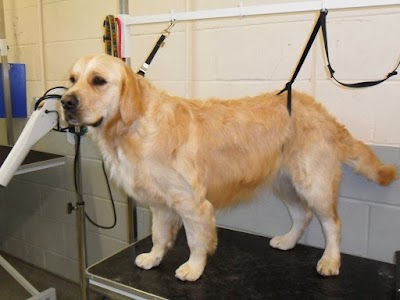 Grooming Van Image