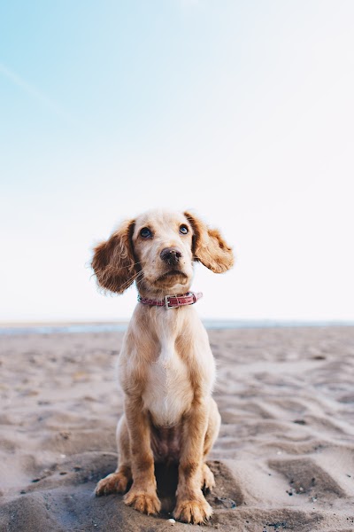 Grooming Van Image
