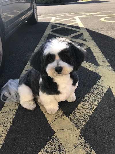 Grooming Van Image