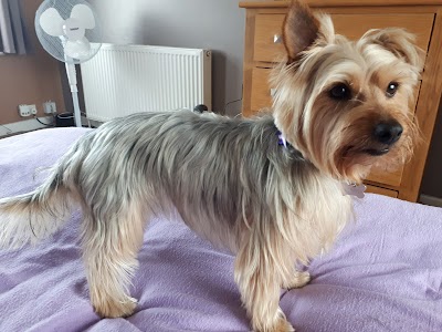 Grooming Van Image