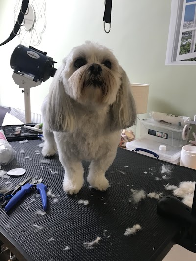 Grooming Van Image