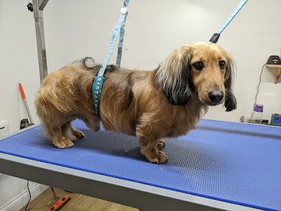 Grooming Van Image