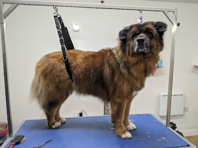 Grooming Van Image