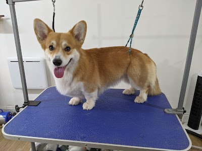 Grooming Van Image