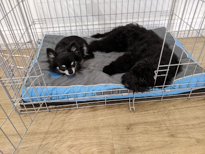 Grooming Van Image