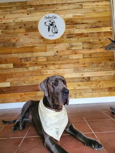 Grooming Van Image
