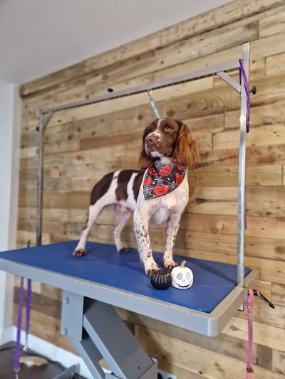 Grooming Van Image