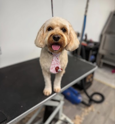 Grooming Van Image