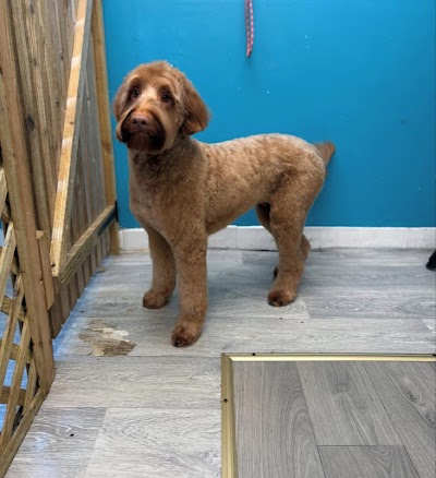 Grooming Van Image