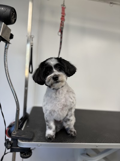 Grooming Van Image