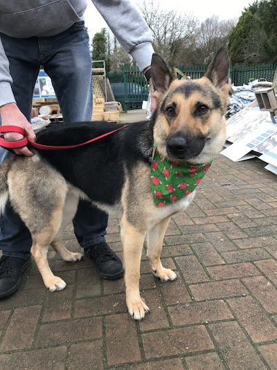 Grooming Van Image