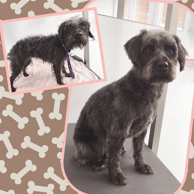 Grooming Van Image