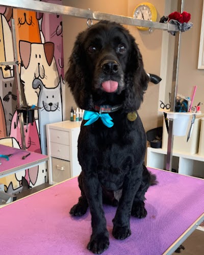 Grooming Van Image