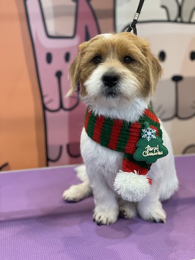 Grooming Van Image