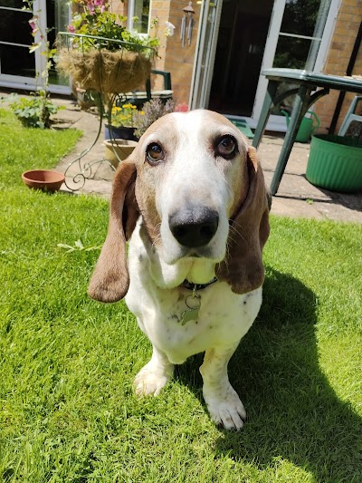 Grooming Van Image