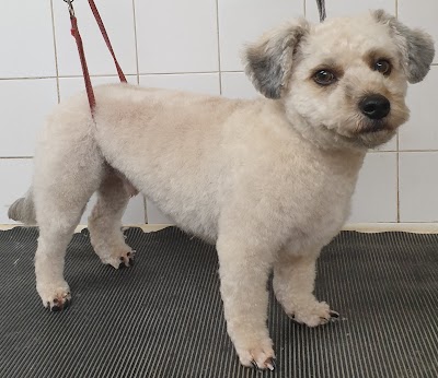 Grooming Van Image
