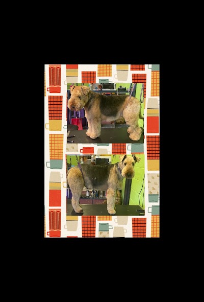 Grooming Van Image