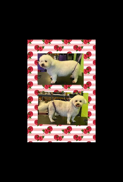 Grooming Van Image