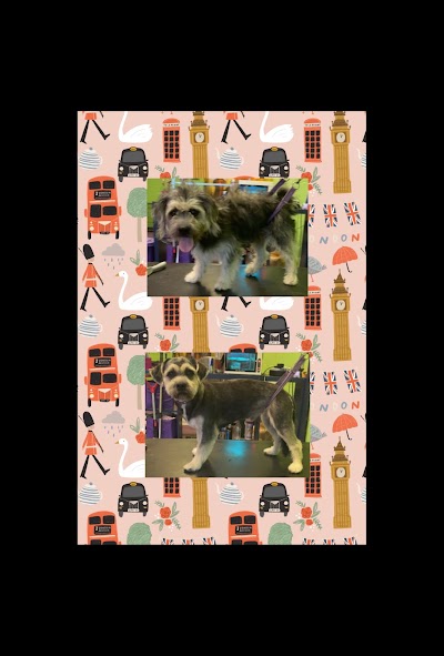 Grooming Van Image