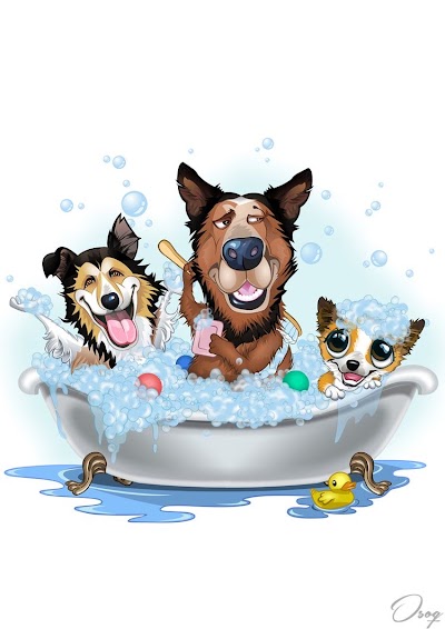 Fresh paws dog grooming