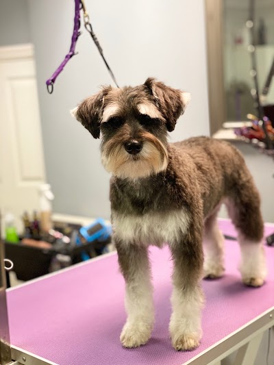 Grooming Van Image