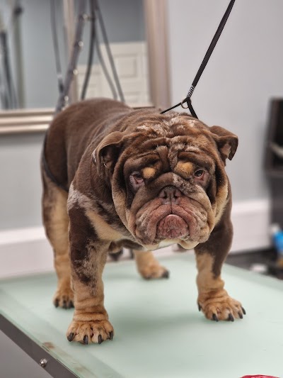 Grooming Van Image