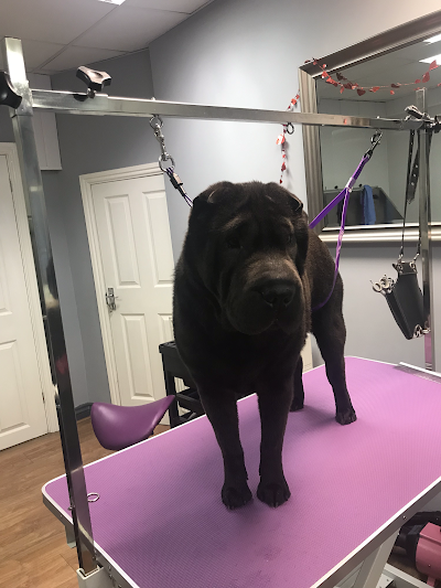 Grooming Van Image