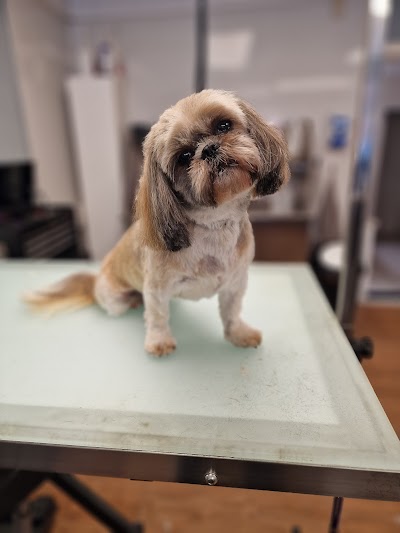 Grooming Van Image