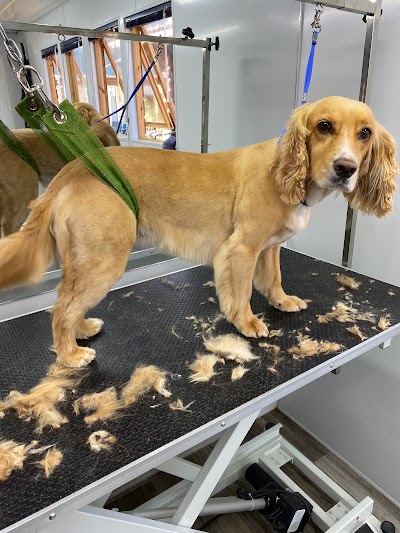 Grooming Van Image