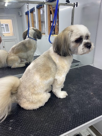 Grooming Van Image