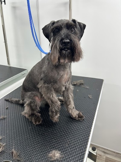 Grooming Van Image