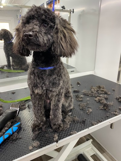 Grooming Van Image