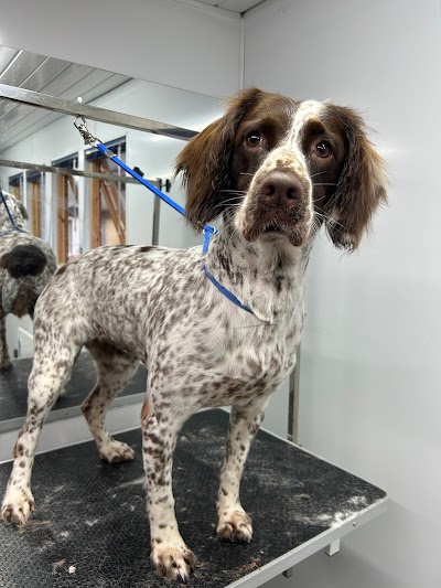Grooming Van Image